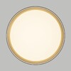 Миниатюра фото потолочный светодиодный светильник с пультом ду citilux boss cl751351g rgb | 220svet.ru