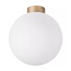Миниатюра фото настенно-потолочный светильник lightstar globo 812033 | 220svet.ru
