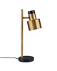 Миниатюра фото лампа настольная moderli goldy v11307-1t | 220svet.ru