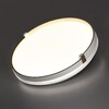 Миниатюра фото настенно-потолочный светильник sonex olidi white 7646/cln белый | 220svet.ru
