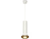 Миниатюра фото подвесной светильник ambrella light diy spot xp xp8191101 | 220svet.ru