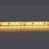 Миниатюра фото светодиодная лента теплый белый lightstar 20w/m 180led/m 5m 421003 | 220svet.ru