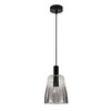 Миниатюра фото подвесной светильник indigo soave v11047/b/1p smoke v000490 | 220svet.ru