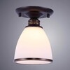 Миниатюра фото потолочный светильник arte lamp bonito a9518pl-1ba | 220svet.ru