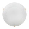 Миниатюра фото настенно-потолочный светодиодный светильник sonex ammonite 7602/bl золото | 220svet.ru
