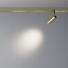 Миниатюра фото трековый магнитный светодиодный светильник maytoni focus led flarity tr144-1-5w4k-w-bs | 220svet.ru