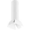 Миниатюра фото потолочный светильник lightstar rullo (214496+202436) r496436 | 220svet.ru
