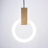 Миниатюра фото подвесной светодиодный светильник elvan pd-63001-200-22w-gl | 220svet.ru