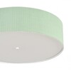 Миниатюра фото потолочный светильник lumion gofera 8326/5 зеленый | 220svet.ru