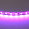 Миниатюра фото светодиодная лента фиолетовая lightstar 12w/m 120led/m 5m 420518 | 220svet.ru