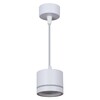 Миниатюра фото подвесной светильник reluce 53003-0.9-001ld gx53 wt | 220svet.ru