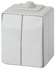 Миниатюра фото выключатель двухклавишный эра 10ax 250v ip65 11-1604-03 б0035976 | 220svet.ru