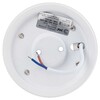 Миниатюра фото настенно-потолочный светильник эра ol30 wh б0056359 | 220svet.ru