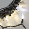 Миниатюра фото гирлянда нить 10м тепло-белая с мерцанием белого диода 24в, 100 led, провод черный каучук 2,3мм, ip65 ltc eco100blw-1-1ww | 220svet.ru