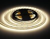 Миниатюра фото светодиодная лента дневной белый ambrella light 22w/m 240led/m 2835smd 4500к 5m gs3502 | 220svet.ru