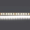 Миниатюра фото светодиодная лента холодный белый lightstar 12w/m 120led/m 5m 420805 | 220svet.ru