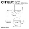 Миниатюра фото потолочная люстра на штанге citilux fisher cl218163 | 220svet.ru