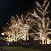 Миниатюра фото светодиодная ветвь 0,5м тепло-белая 24в, 52 led, провод черный пвх, ip54, комплект 3шт ltc ltc-13324 | 220svet.ru