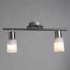 Миниатюра фото спот arte lamp a4510pl-2ss | 220svet.ru