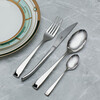 Миниатюра фото набор столовых приборов 4 шт dublin face | 220svet.ru