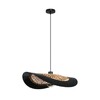 Миниатюра фото подвесной светильник arte lamp woodstock a7059sp-1bk | 220svet.ru