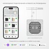 Миниатюра фото умный сенсорный выключатель двухклавишный шампань werkel w4523011 | 220svet.ru