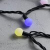 Миниатюра фото гирлянда «шарики» 10м rgb 220b, диаметр шарика 23мм, 100 led, провод черный каучук, ip65 ltc bb100-2-2rgb | 220svet.ru