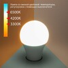 Миниатюра фото лампа светодиодная elektrostandard e27 13w 3300/4200/6500k матовая a053389 | 220svet.ru