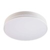 Миниатюра фото настенно-потолочный светодиодный светильник deko-light subra 401004 | 220svet.ru