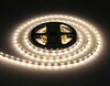Миниатюра фото светодиодная лента дневной белый ambrella light 4,8w/m 60led/m 2835smd 4500к 5m gs1002 | 220svet.ru