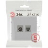 Миниатюра фото розетка эра arktik 16-3110-03 комбинированная rj45+tv алюминий б0070496 | 220svet.ru